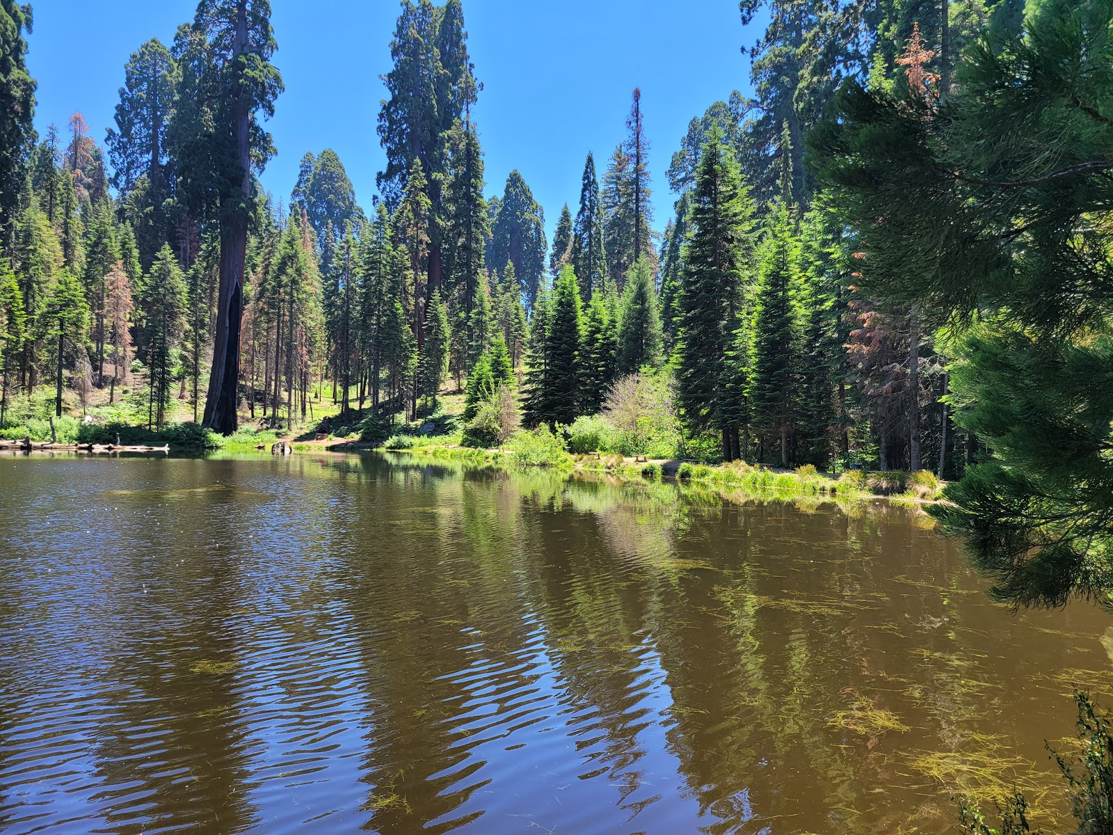 Balch Park Campgrounds