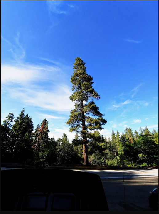 Appletree Campground