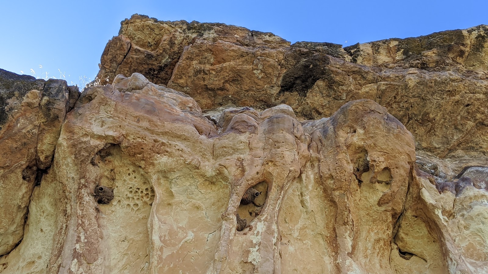 Medicine Lodge Archaeological Site