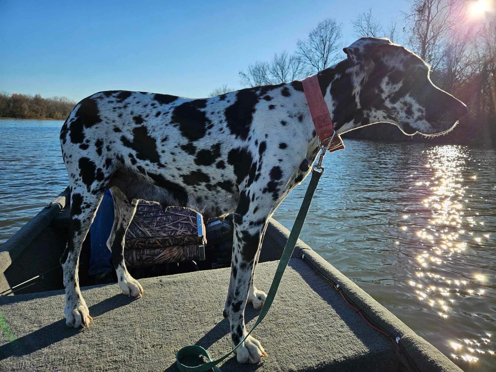 Clear Creek Recreation Area & Campground