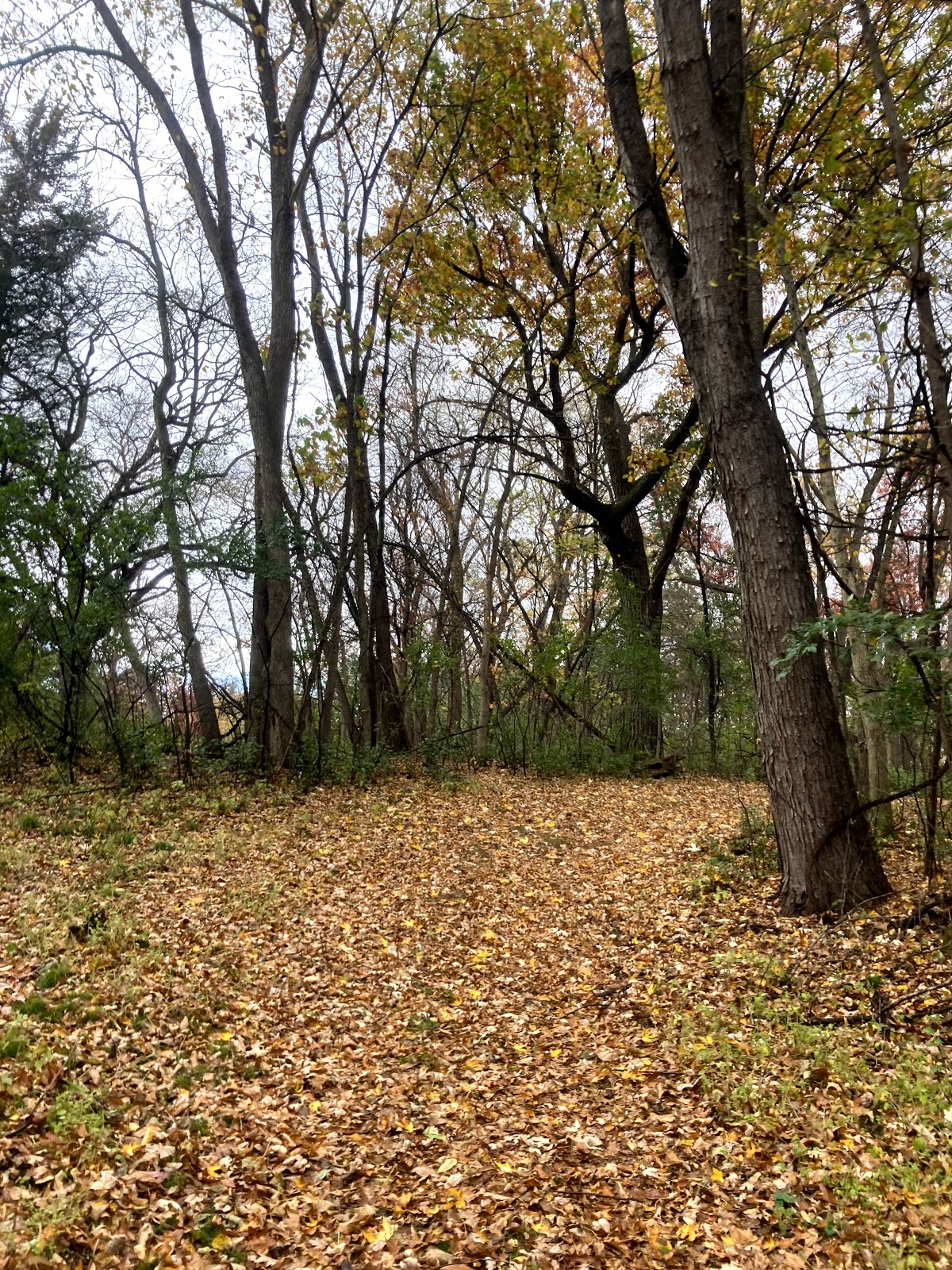 St. Croix Bluffs Regional Park