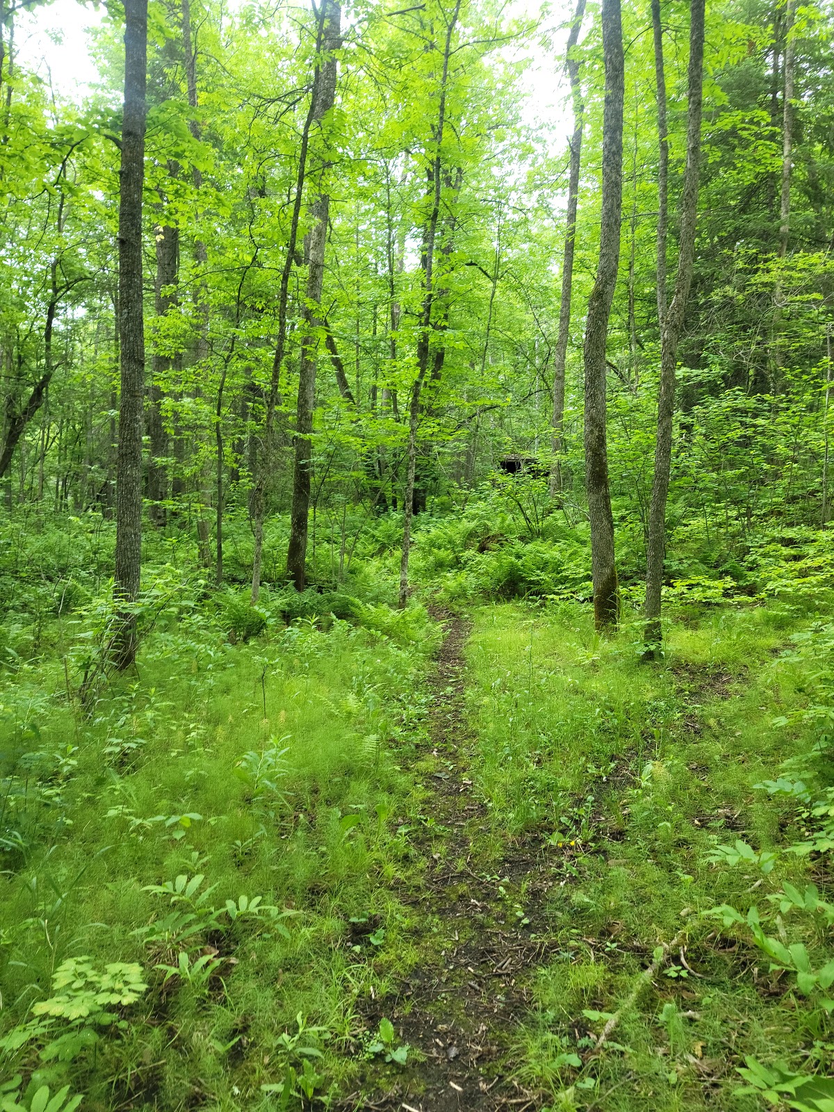 Franz Jevne State Park