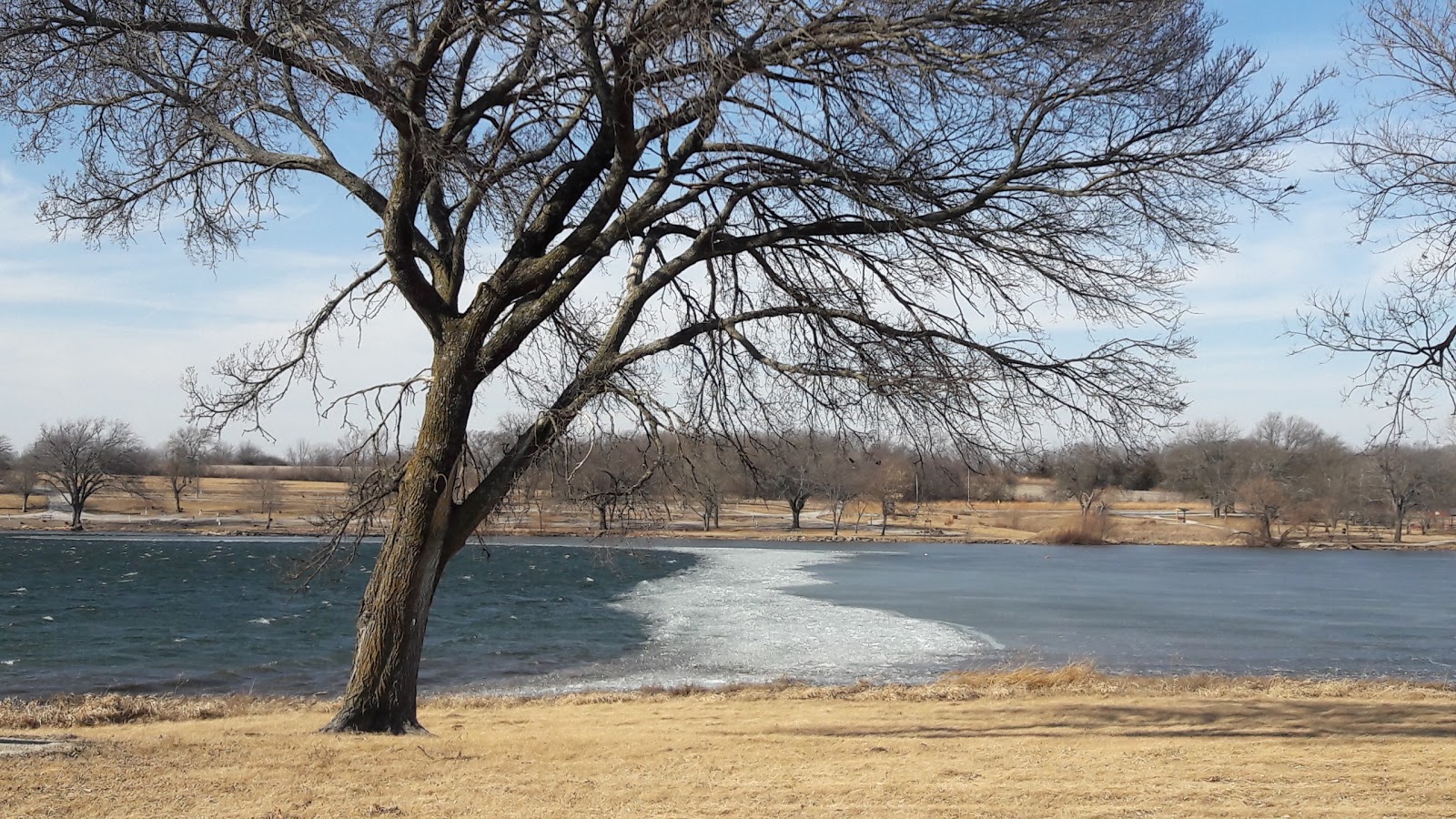 Lions Park Shelter - Lake Miola