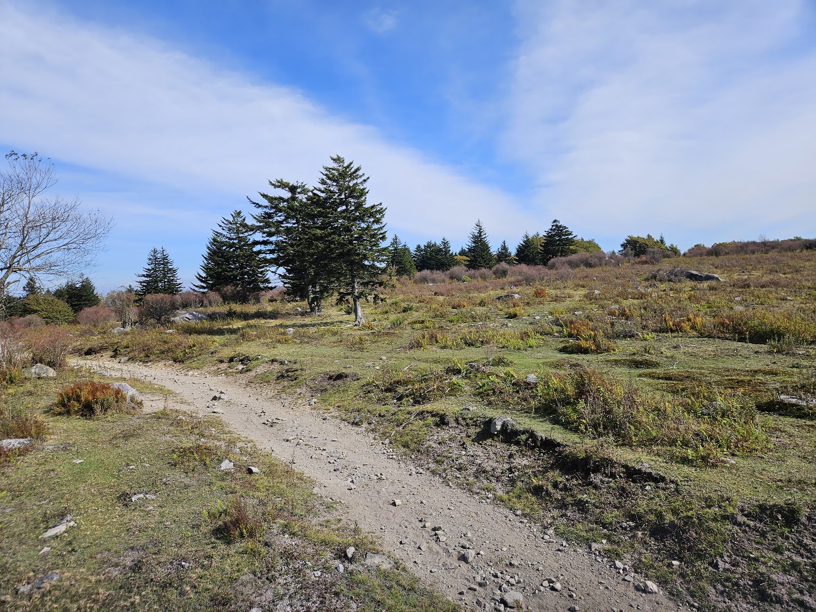 Fox Creek Horse Campground