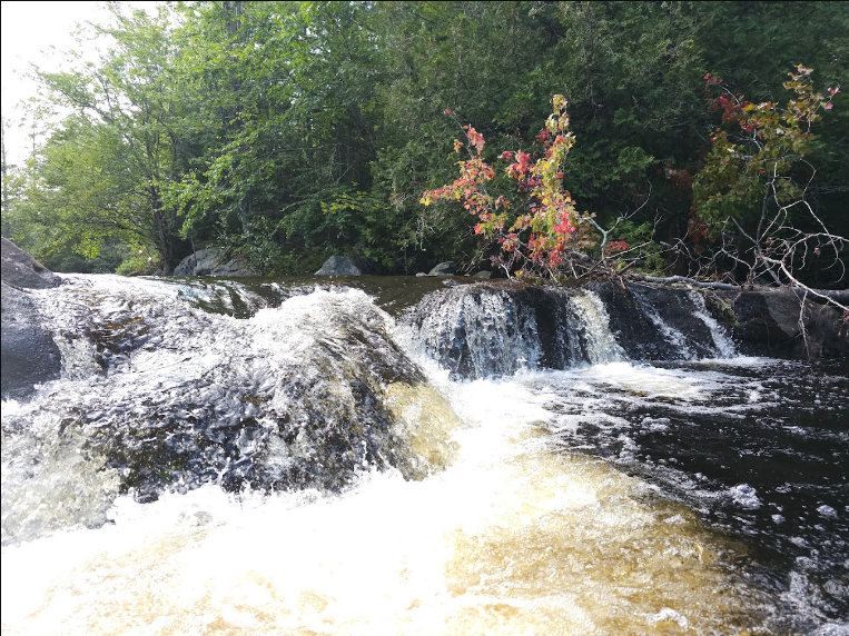 Ricker Pond State Park