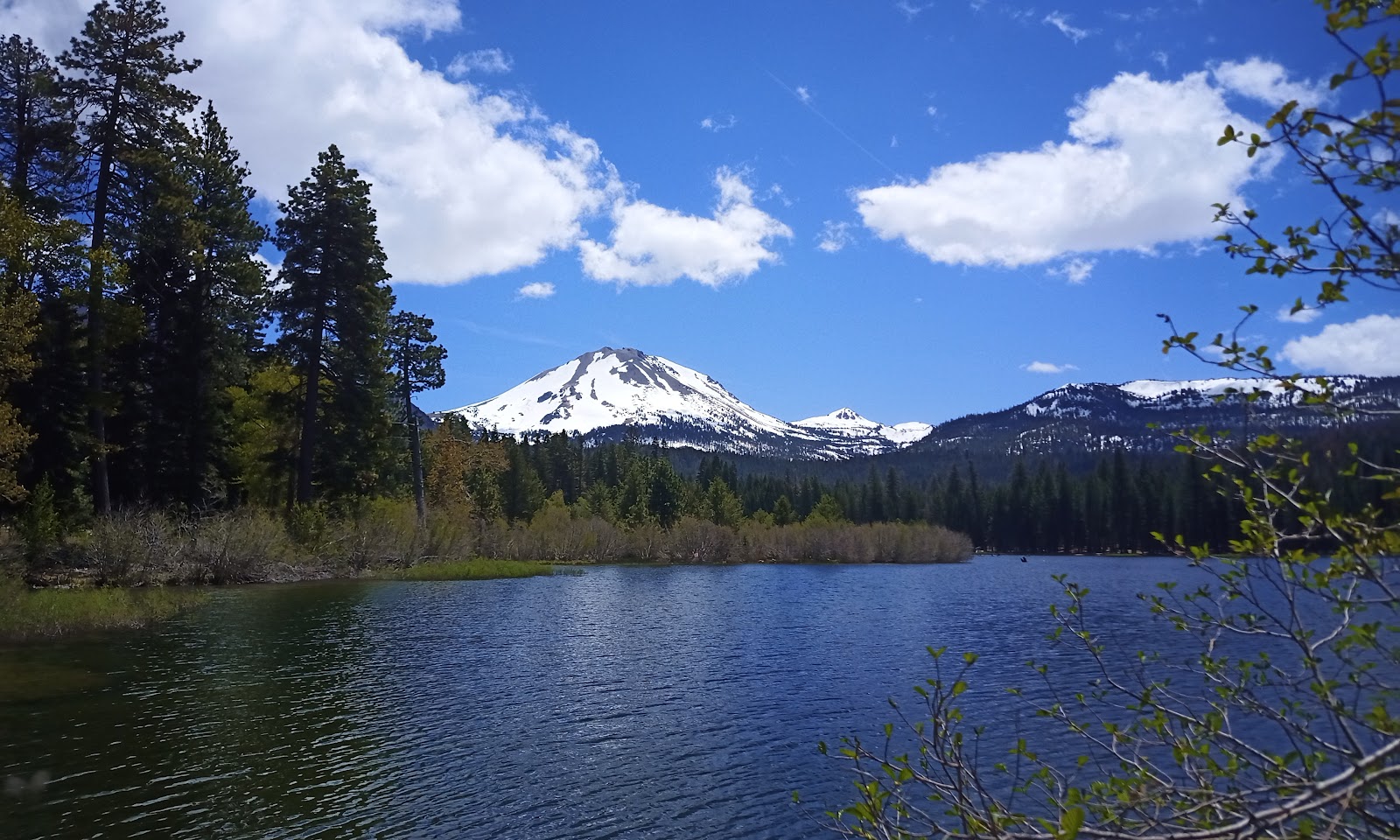 Queen Lily Campground