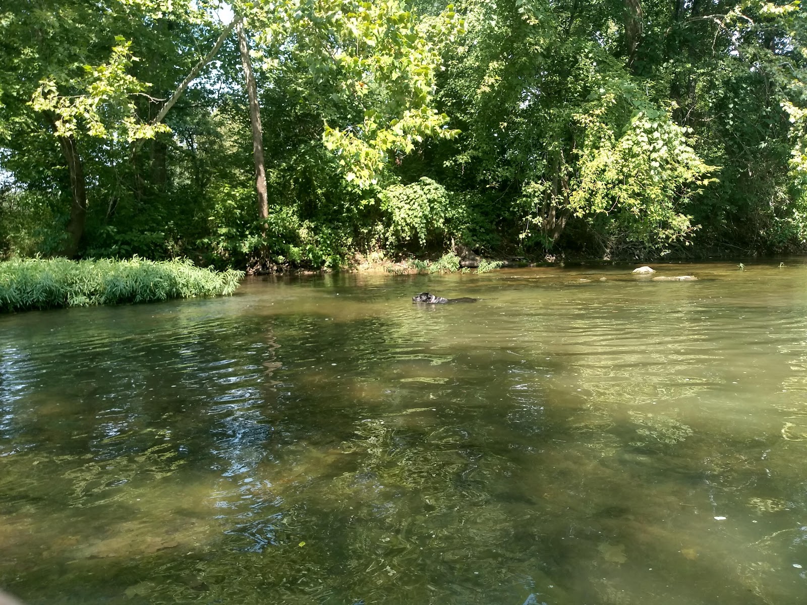 Southfork Canoe Resort