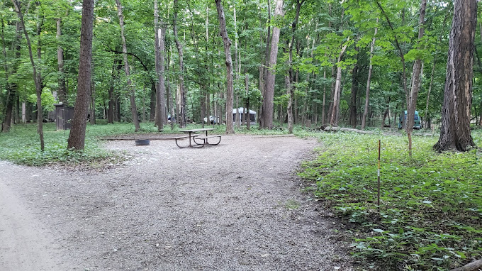 White Fox - Myre-Big Island State Park