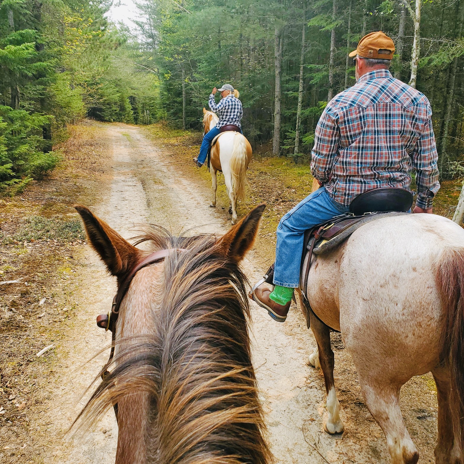 Stony Brook Horse Campground