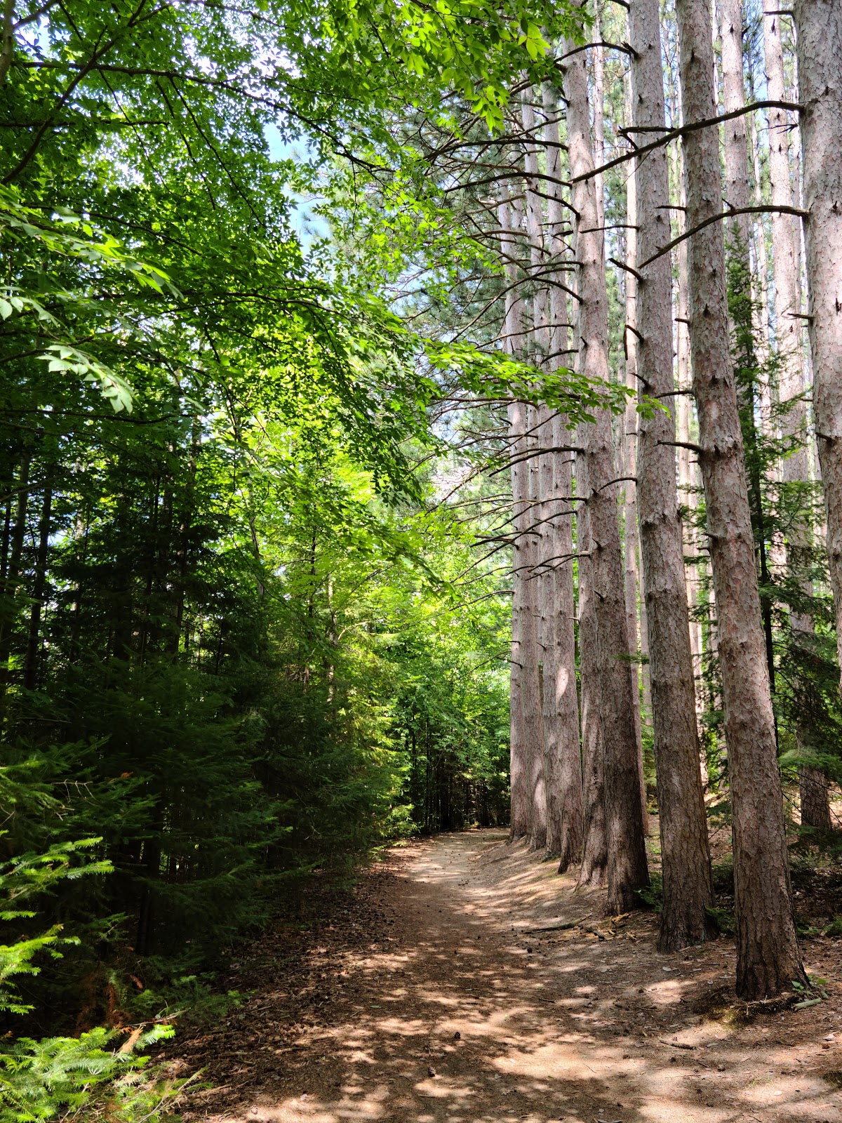 Proud Lake Recreation Area