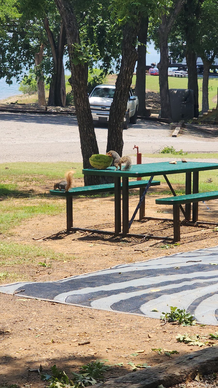 Little Glasses Resort and Marina