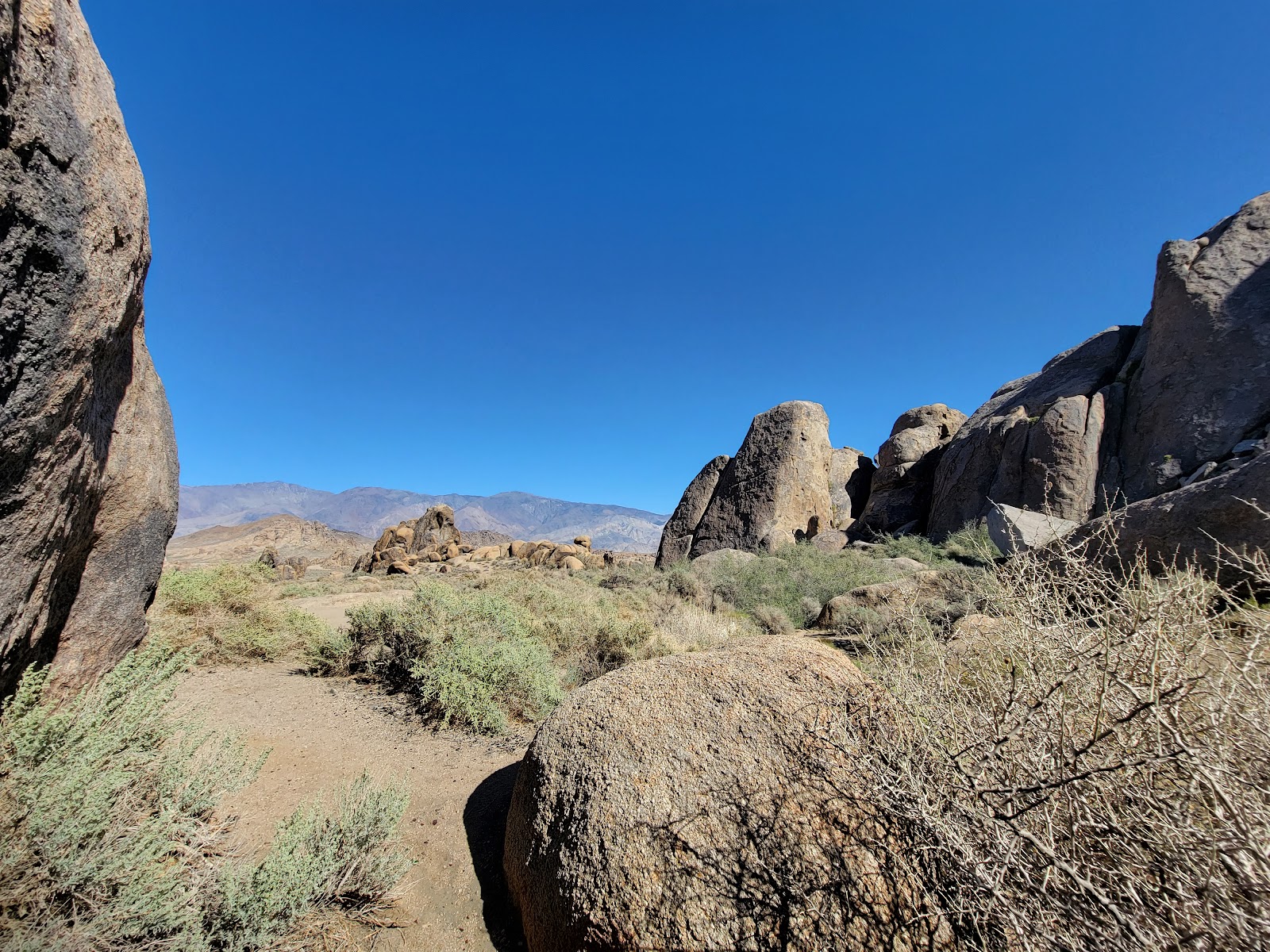 Inyo National Forest