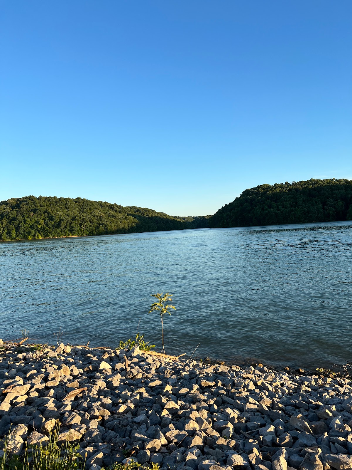 Wolf River Resort & Marina