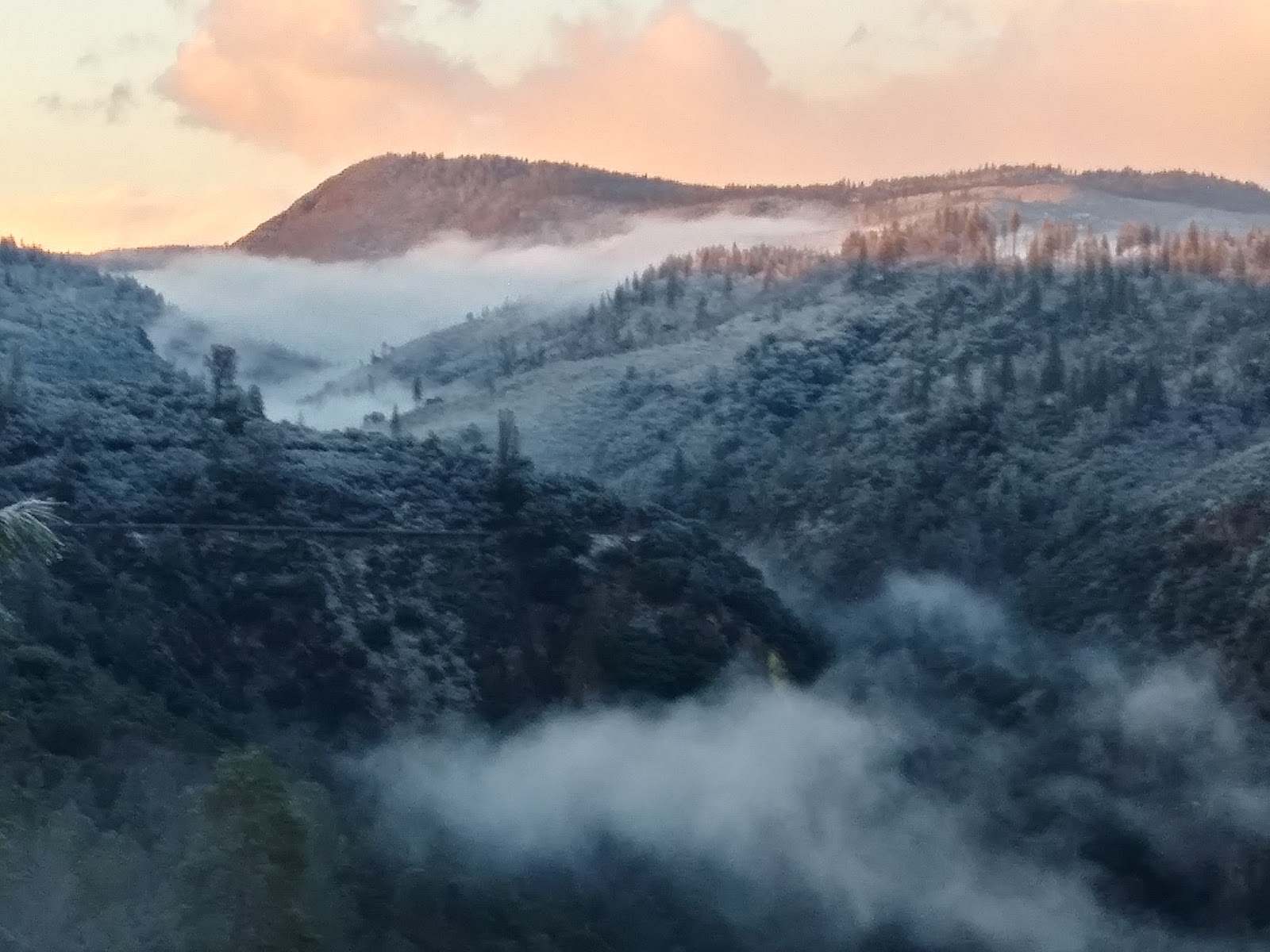 Quail Trails Village