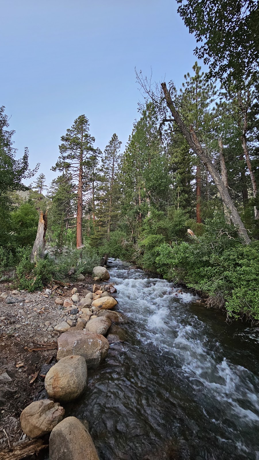 French Camp Campground