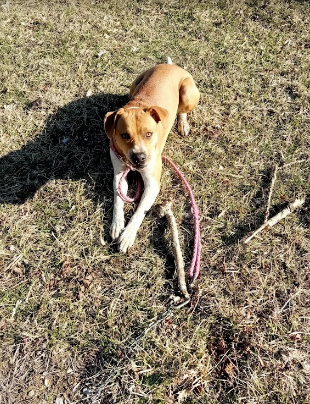 Boone County Fairgrounds Campground