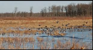 Crex Meadows Camping