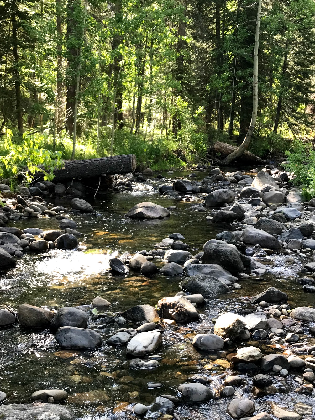 Mill Creek Campground