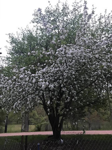 K and C Country Air Campground