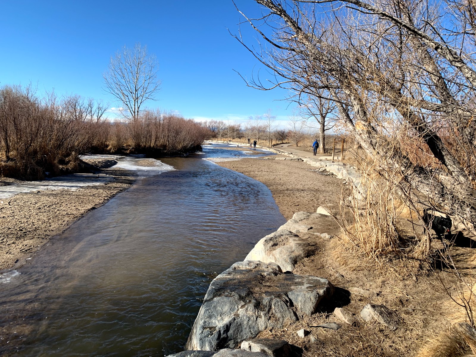 Cherry Creek State Park- Off Leash Dog Area