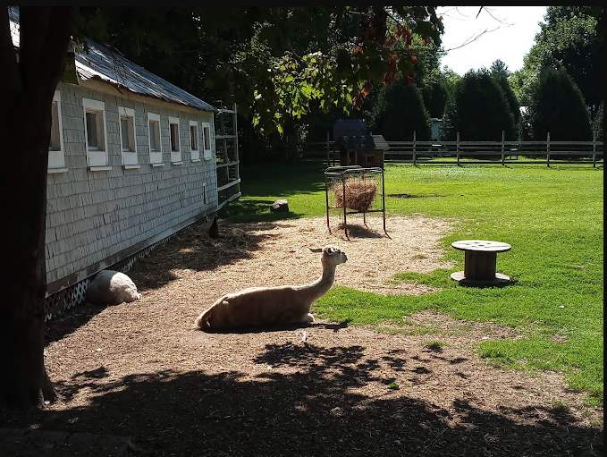 Homestead by the River Family Campground