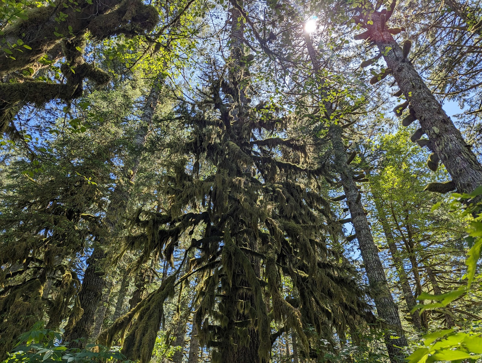 Hebo Lake Campground