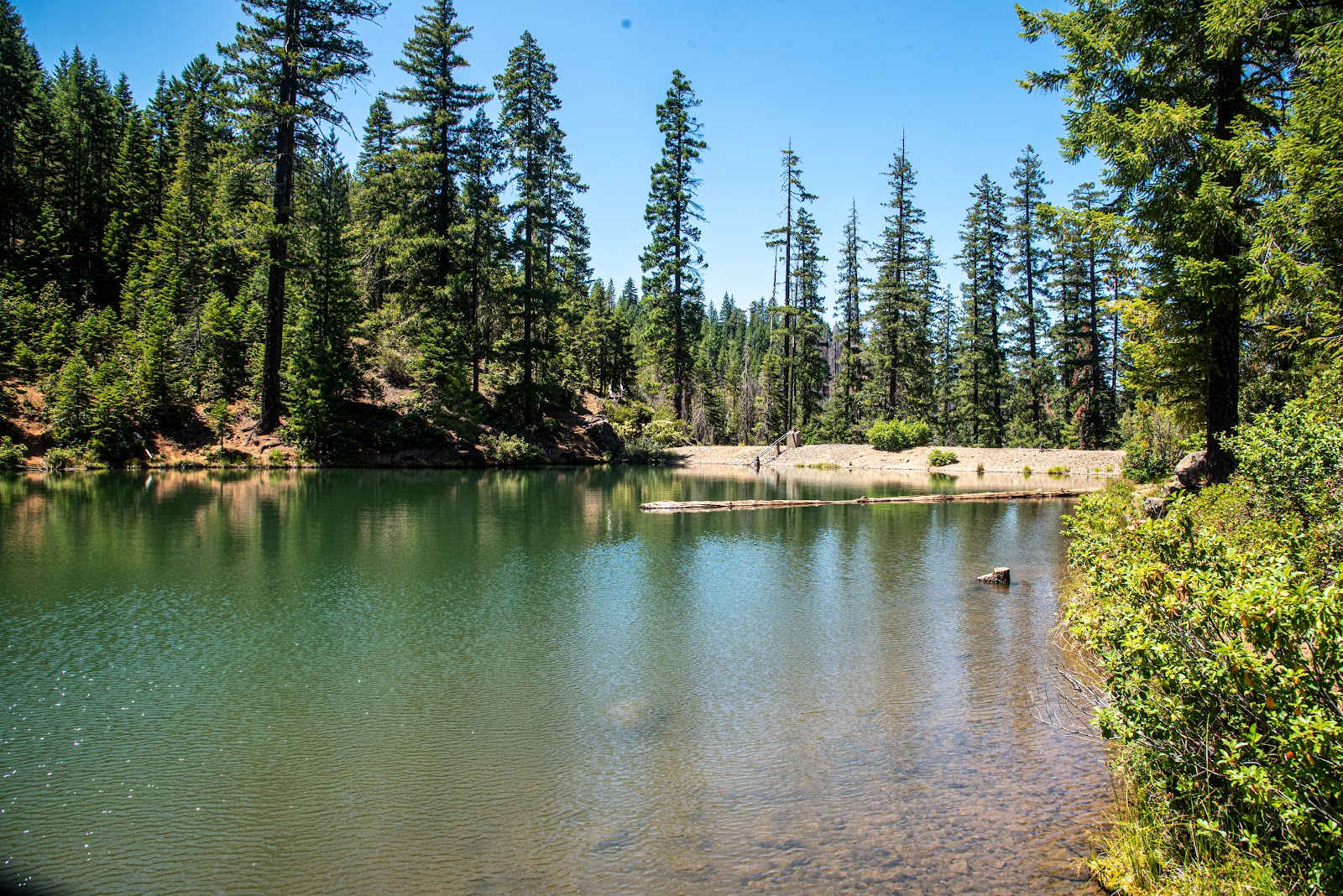 Spalding Pond Campground