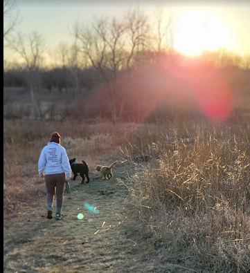 Friends Creek Conservation Area