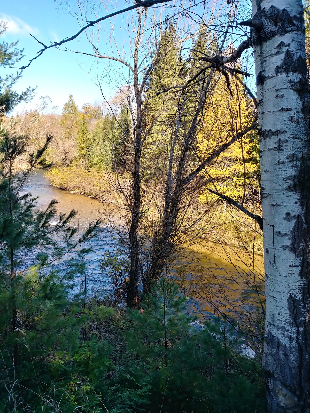 Haakwood SF Campground