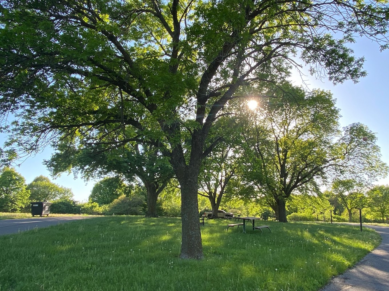Equestrian - Waubonsie State Park