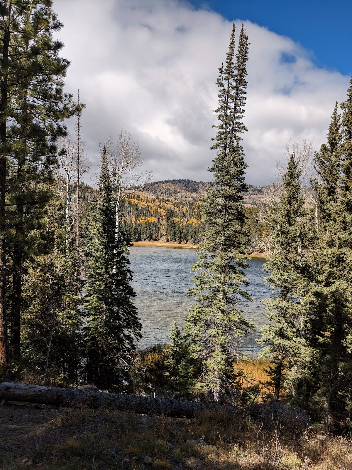 Posey Lake Campground