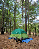Northampton Beach Campground