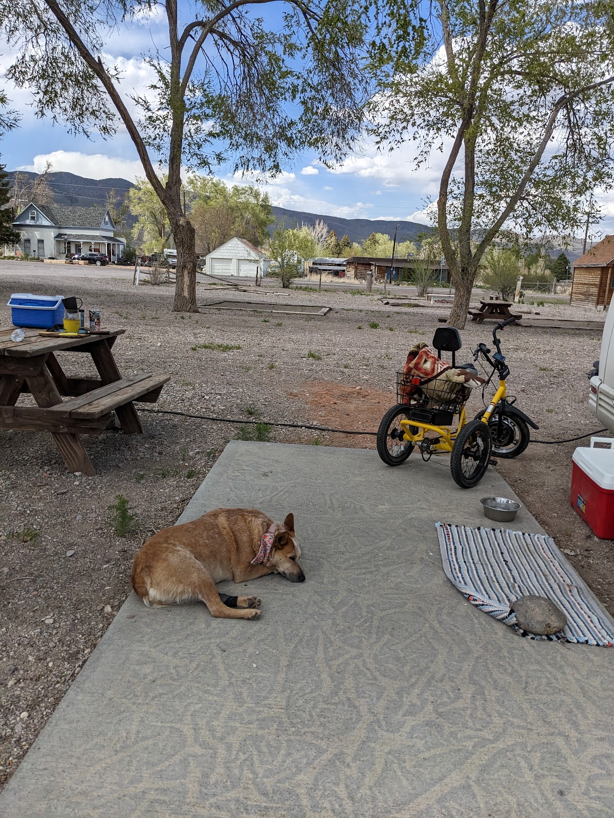 Flying U Country Store and RV Park