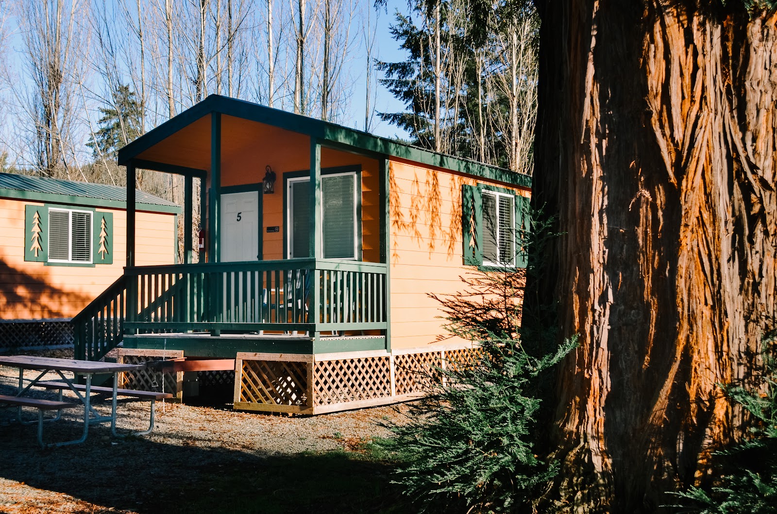 Giant Redwoods RV and Camp