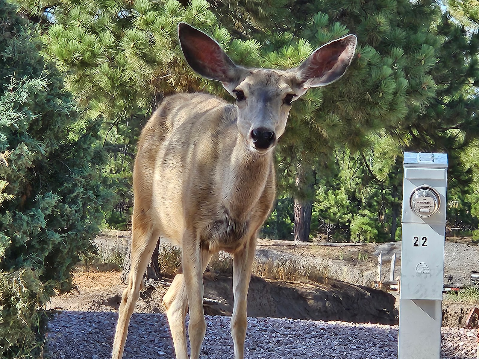 Auto Inn Motel and RV Park