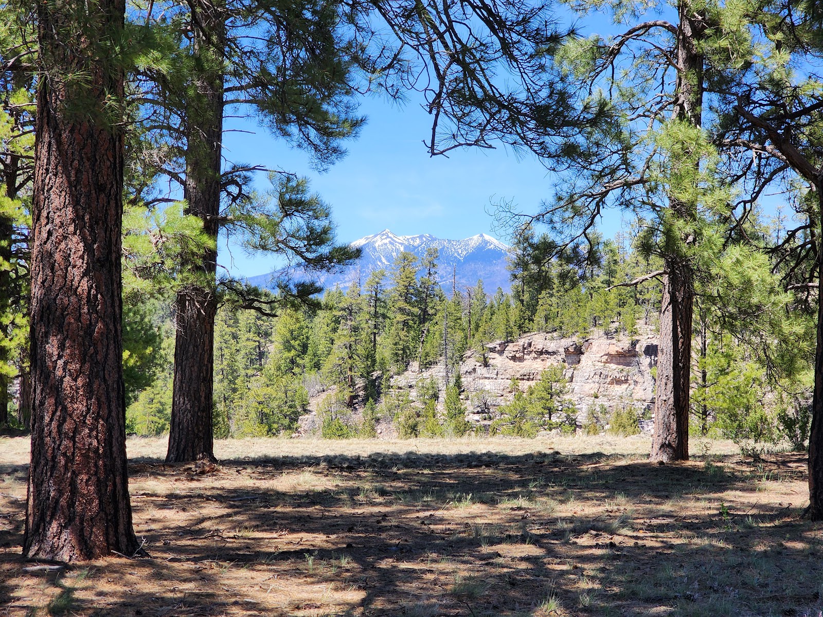 Canyon Vista Campground