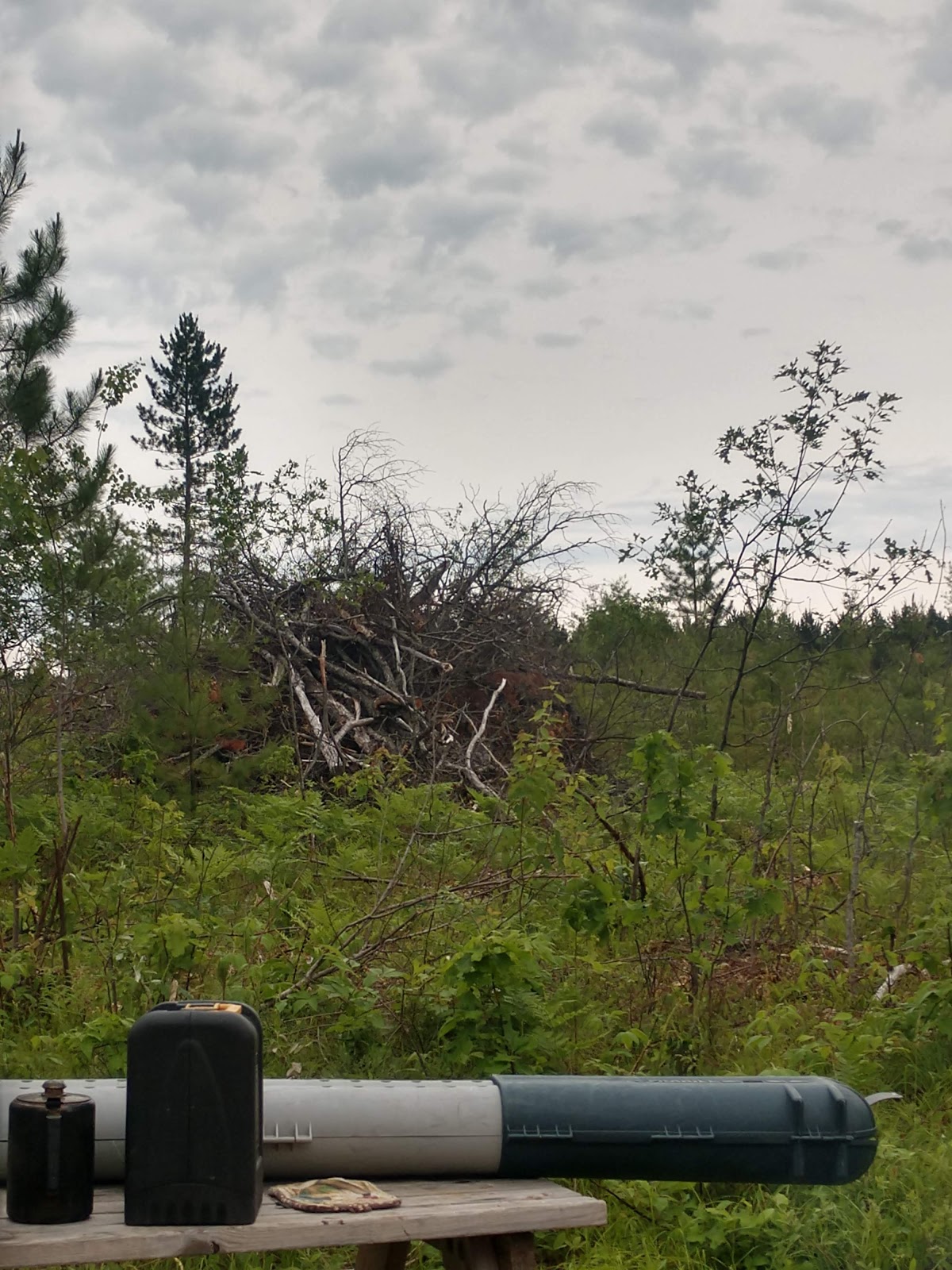West Bass Lake Park and Campground