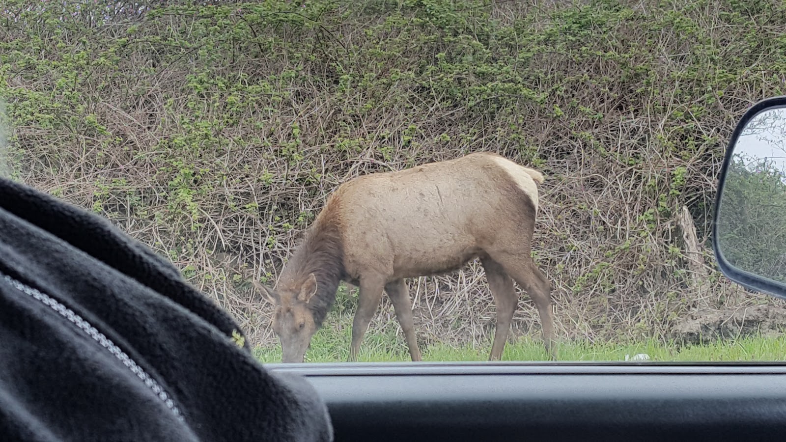 Kampers West Kamp Ground