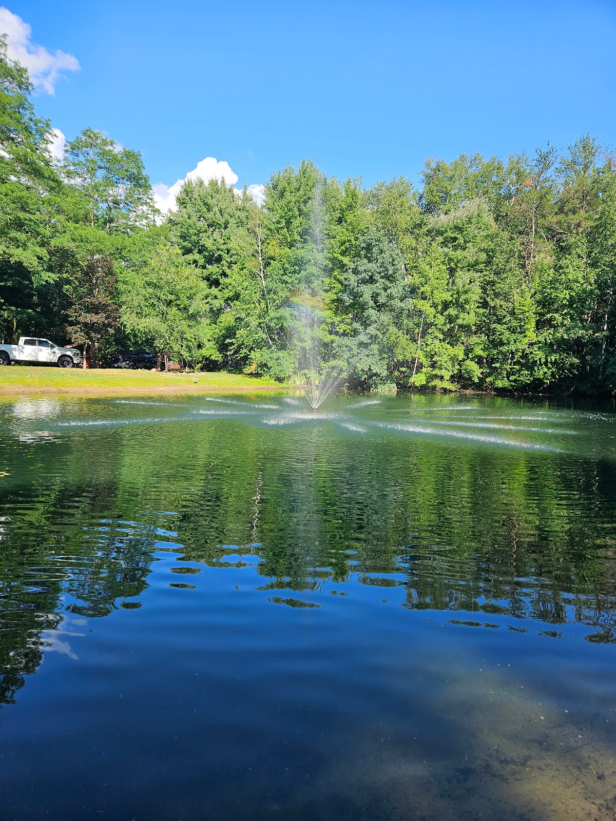 Bass Lake Campground