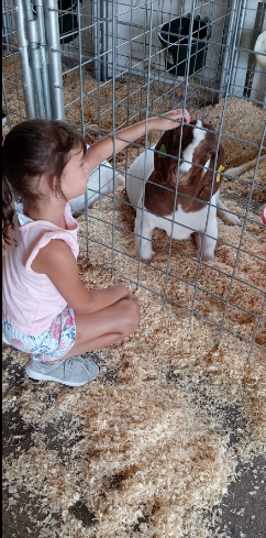 Branch County Fairgrounds RV