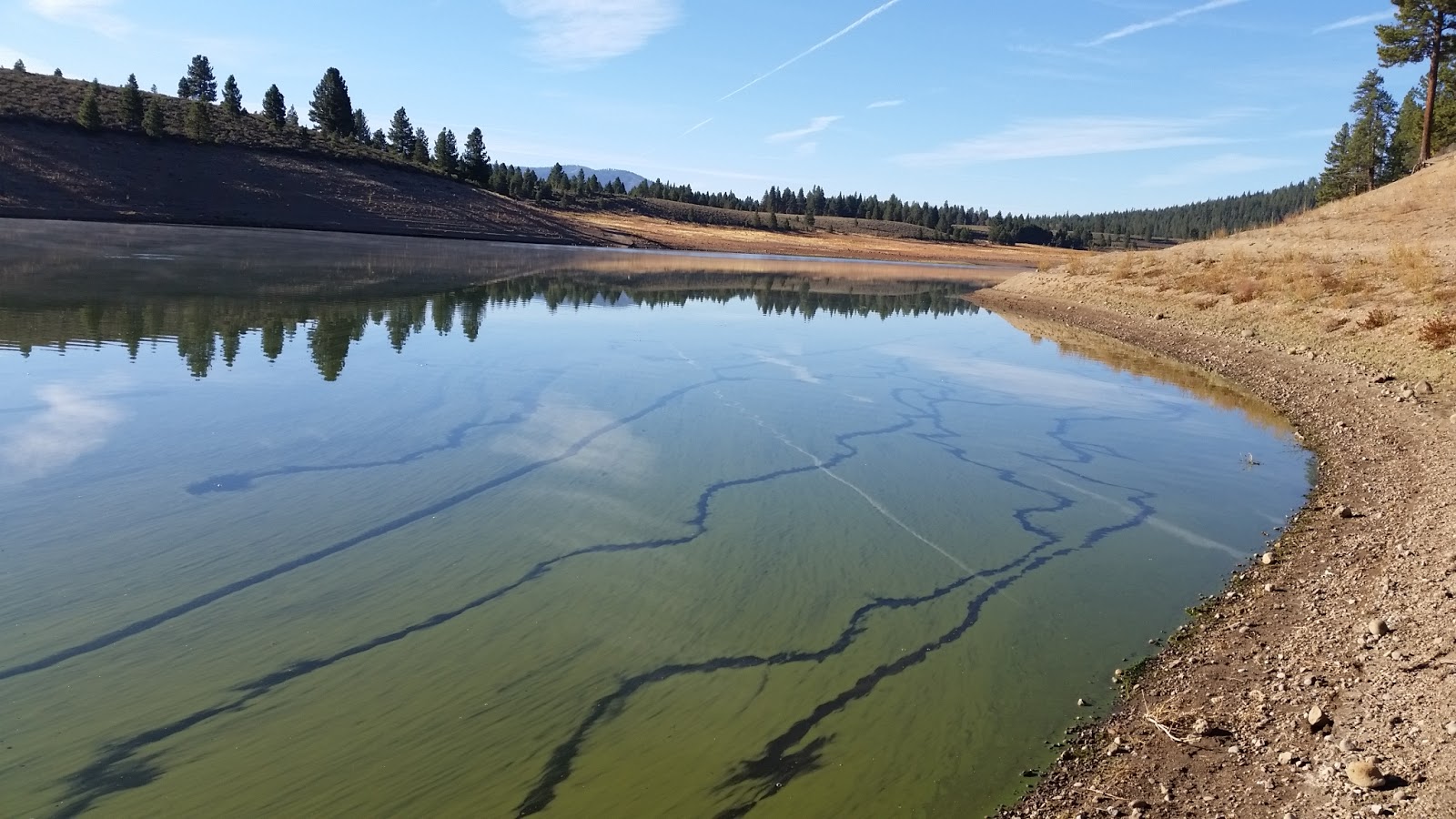 Prosser Ranch Group Campground