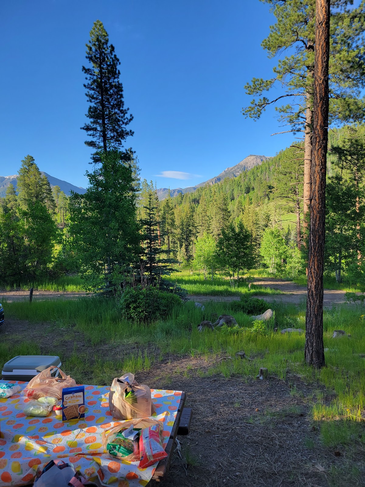 Williams Creek Campground