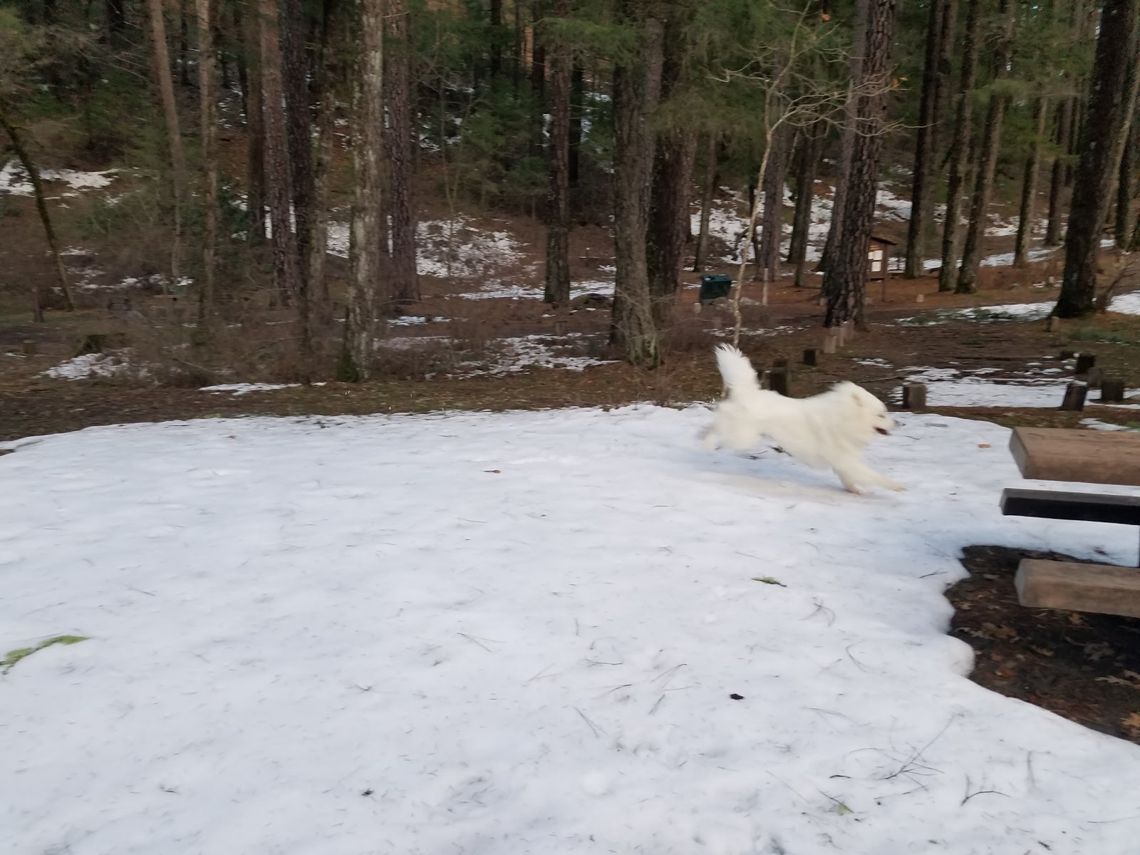Forest Glen Campground