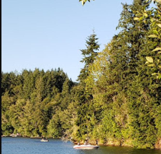 Lake Mayfield Resort & Marina