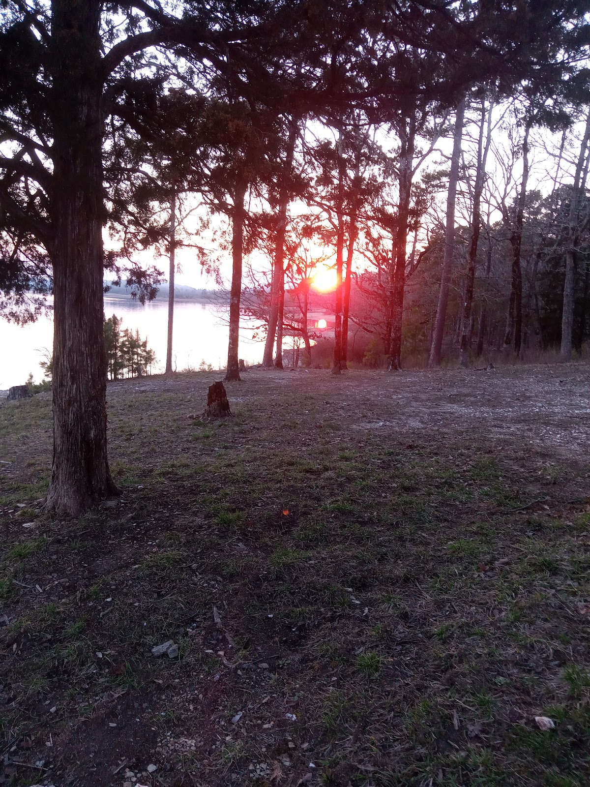 Big Fir Public Use Area