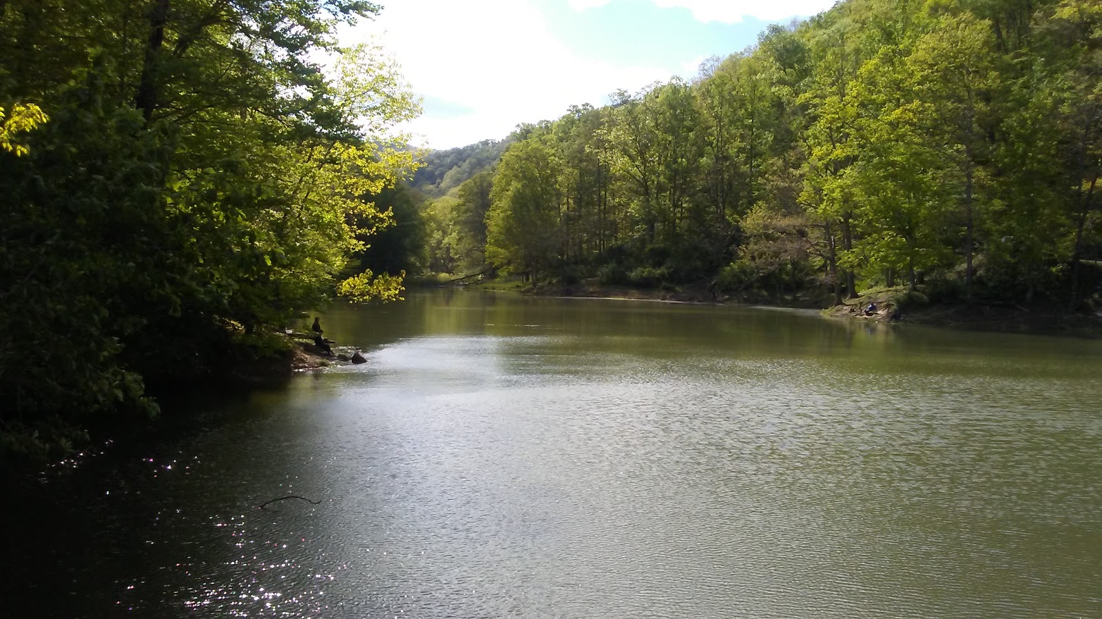 Berwind Lake Wildlife Management A