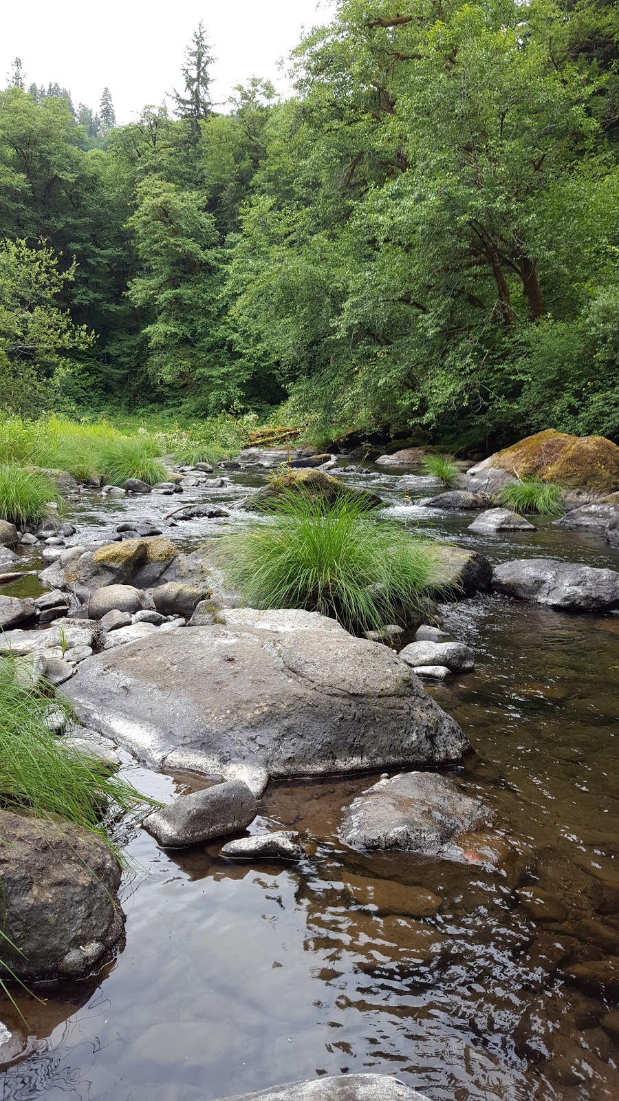 Rocky Bend Group Campground