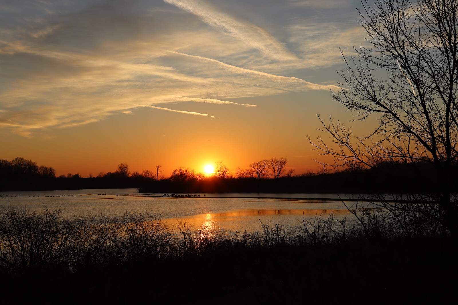 East - Prairie Rose State Park
