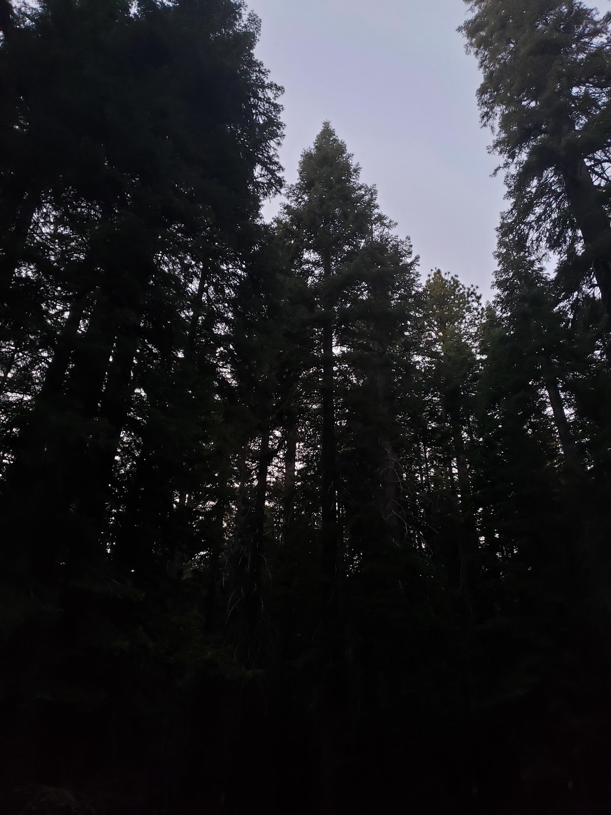 Kinnikinnick Campground