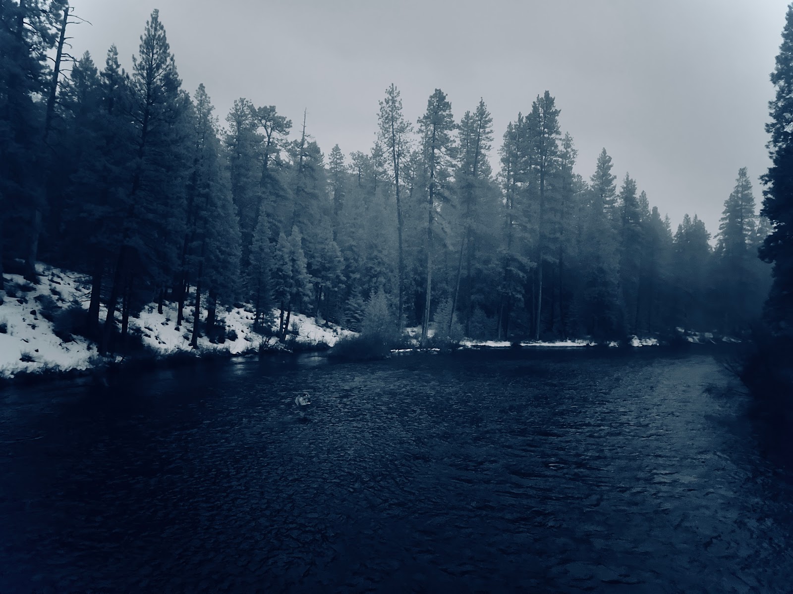 Lower Bridge Campground